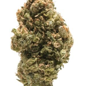 ALIEN OG Weed Strain