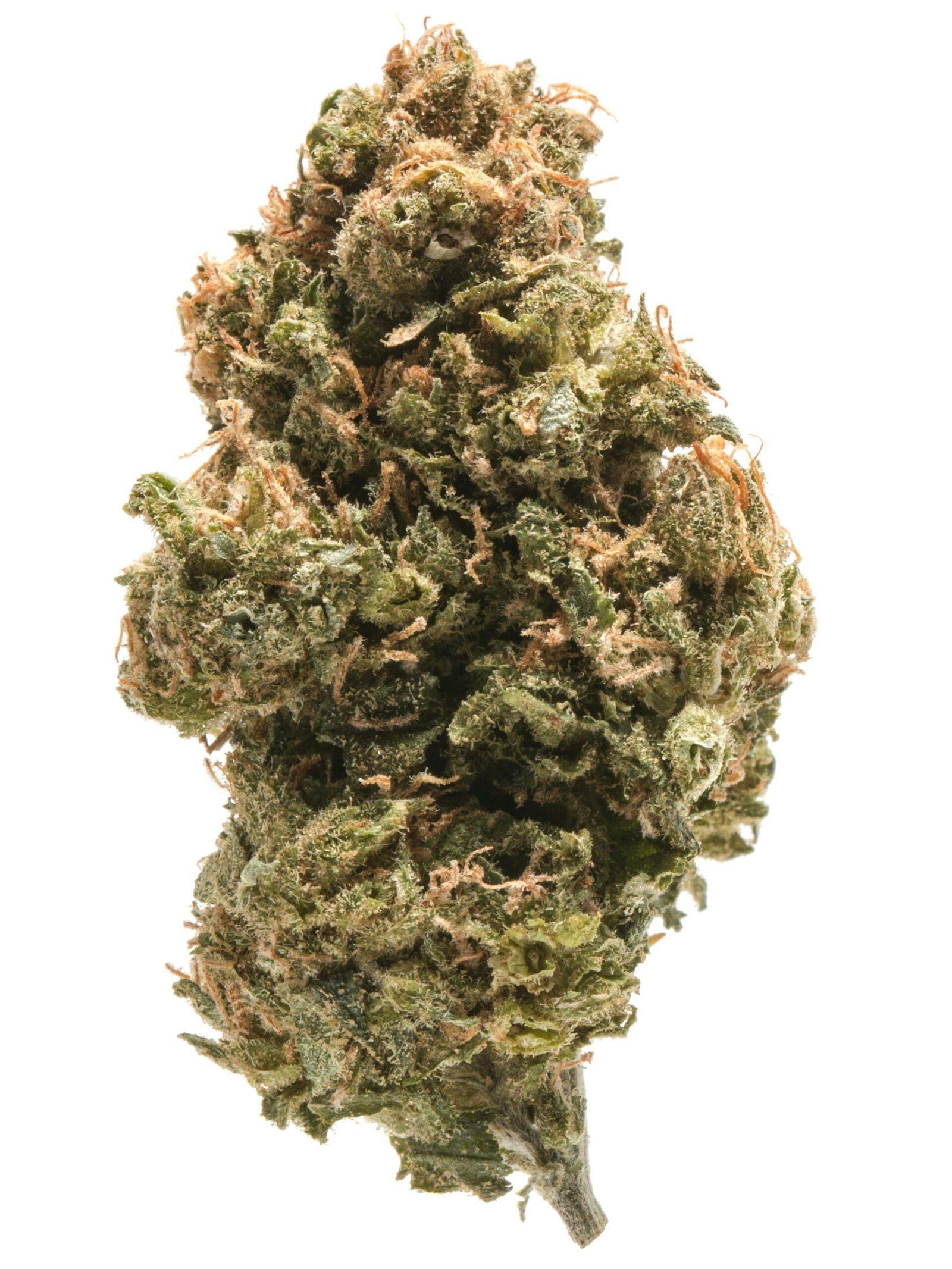 ALIEN OG Weed Strain