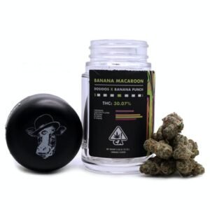 Banana Macaroon Weed Strain