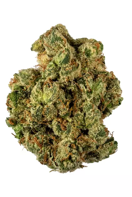 G13 Weed Strain Online