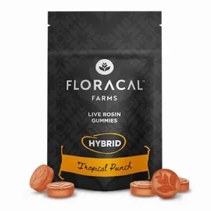 Tropical Punch | Hybrid Live Rosin Gummies 100mg [10pk]