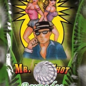 Buy Mr. Big Shot Herbal Incense