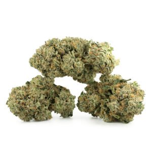Northern Nights Weed Strain