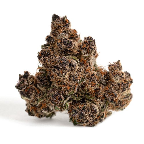 Buy Tropicana Cookies Online