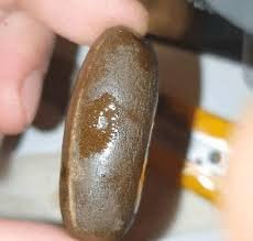 kiwi hash egg