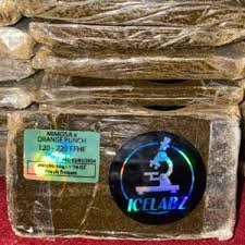 ice labz hash