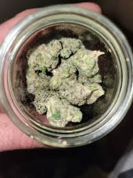 cake crasher strain