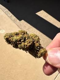 lemon fizz strain