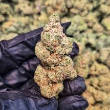 gorilla glue