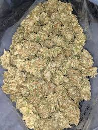 pina colada strain