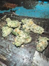 white apple tartz strain