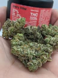 cherry fritter strain