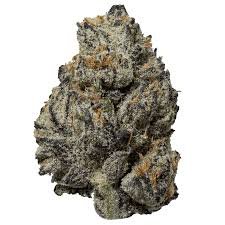 black truffle strain for sale deutschland