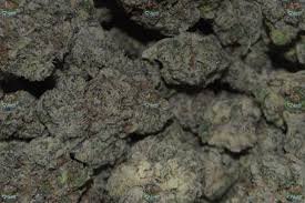 laffy taffy strain