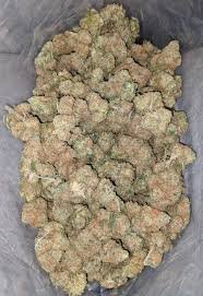 gelato 45