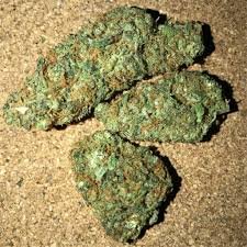 double bubblegum strain