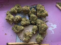 blue gelato