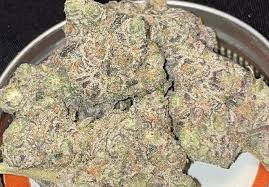 horchata strain thc