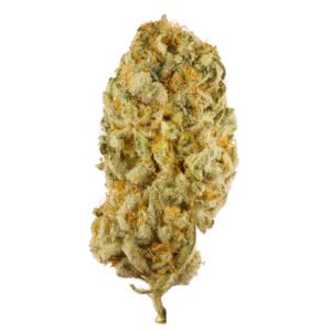 Buy Premium Jack Strain