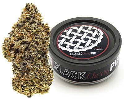 Black Cherry Pie Weed Strain - Image 2