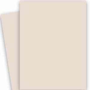 Curious Skin Stone Paper and  Board