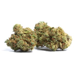 Mango Haze Weed Strain