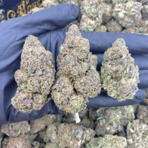 Obama Runtz For Sale