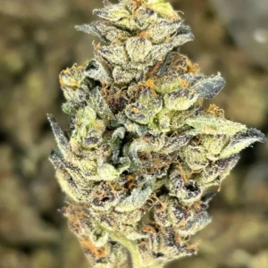 stardust strain