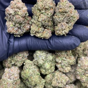 Watermelon Runtz Strain