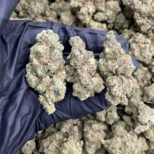 Mochi Strain For Sale Italy