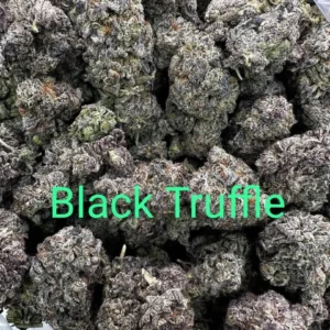 Black Truffle Strain for sale Deutschland