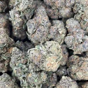 Truffle cake strain
