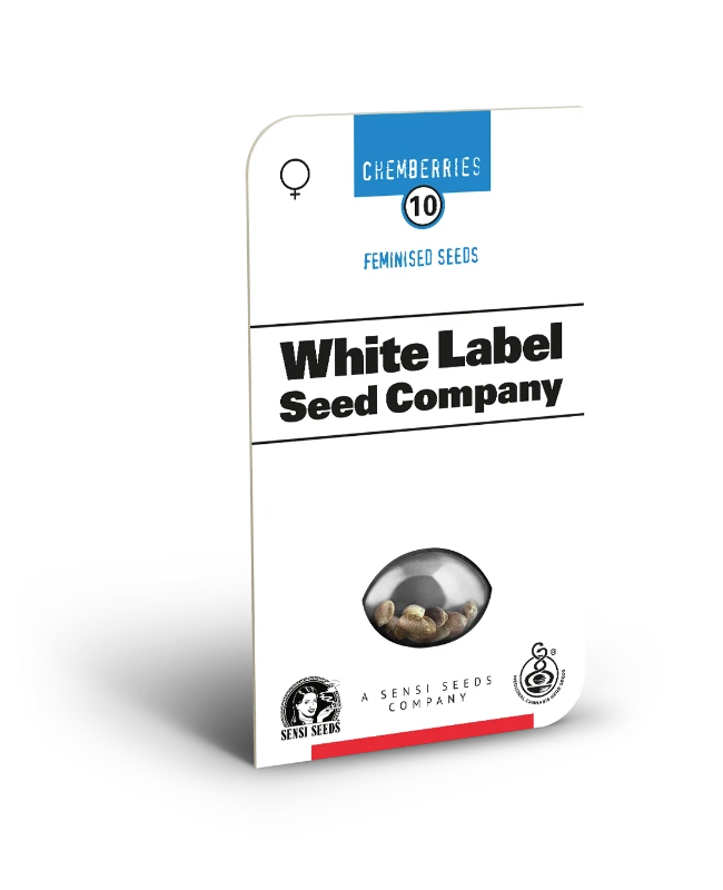 Chemberries Feminized Seeds - image 2 of 2