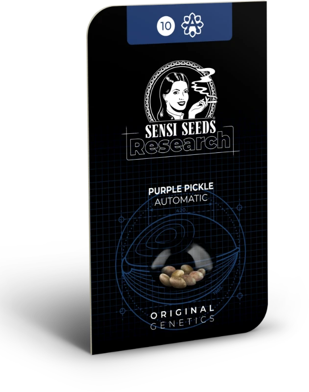 Purple Pickle Autoflowering Seeds - image 2 of 2