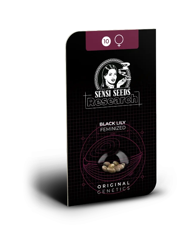 Black Lily Feminized Seeds - image 2 of 2