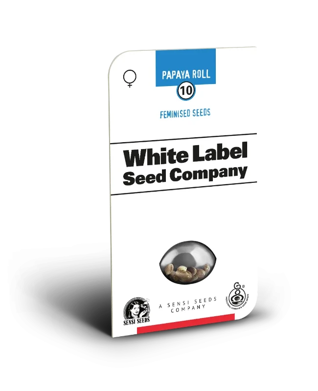 Papaya Roll Feminized Seeds - image 2 of 2