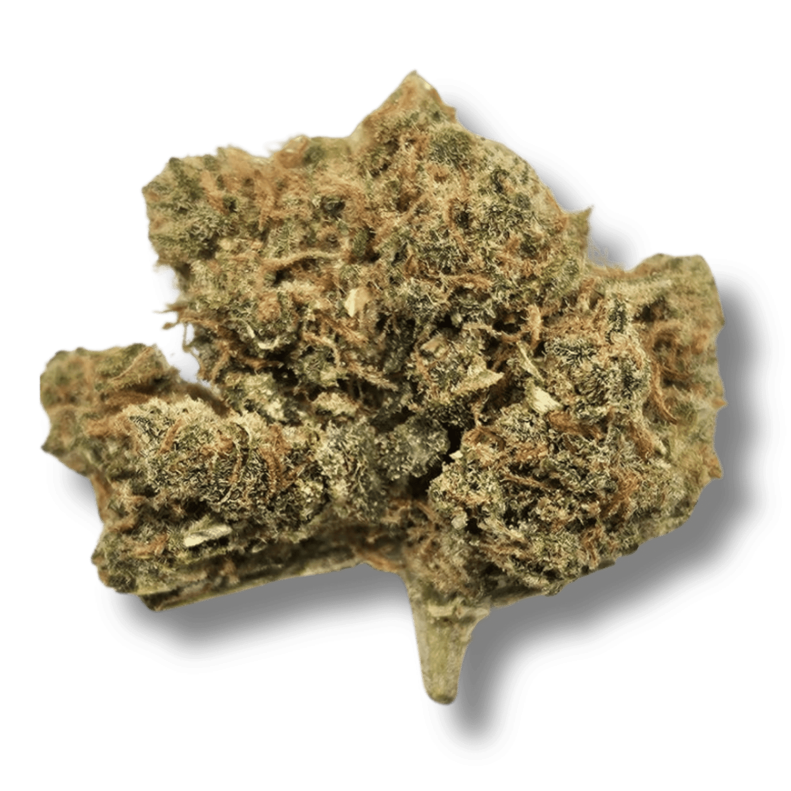 AMNESIA CBX 10%
