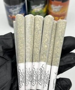 JUNGLE BOY PRE ROLLS 7G Joints 10 Count