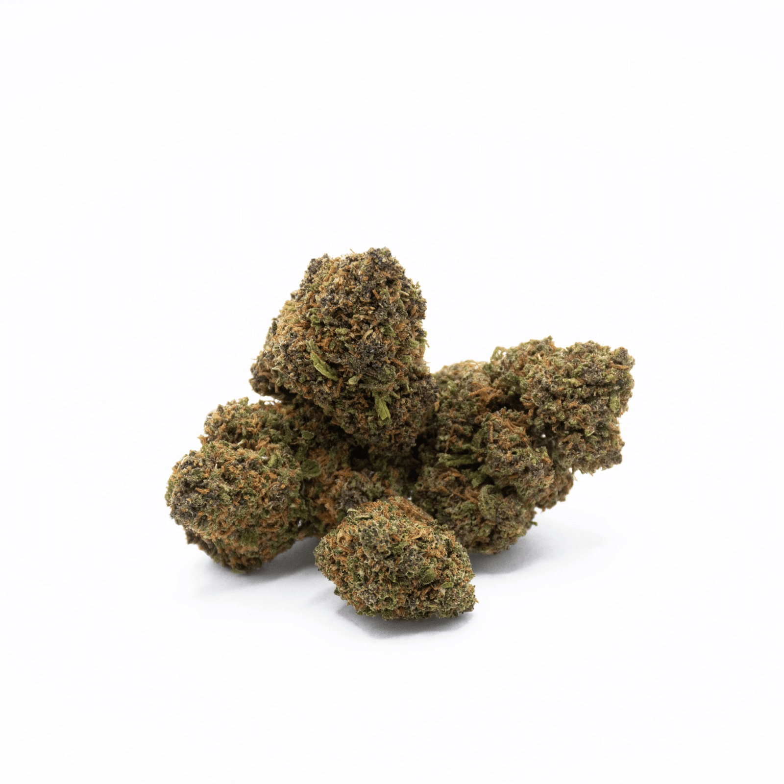 PINK PANTHER CBE