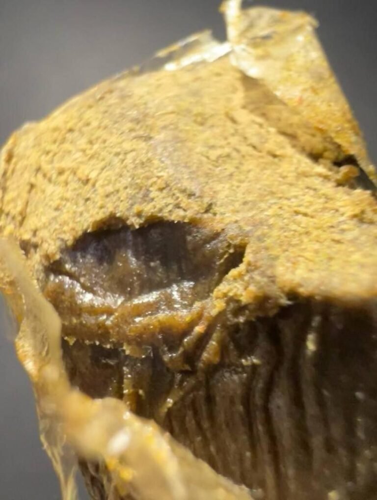04- KMNTOGxRNTZ CBD Hash - Hash Caviars