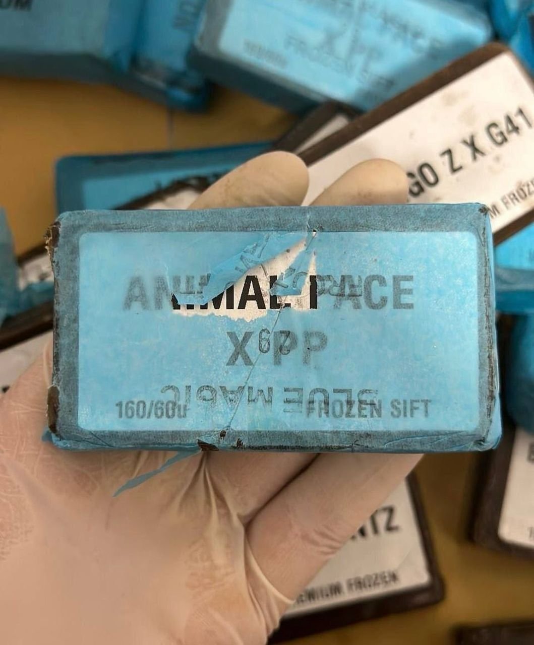ANIMAL FACE X PP 160/60u
