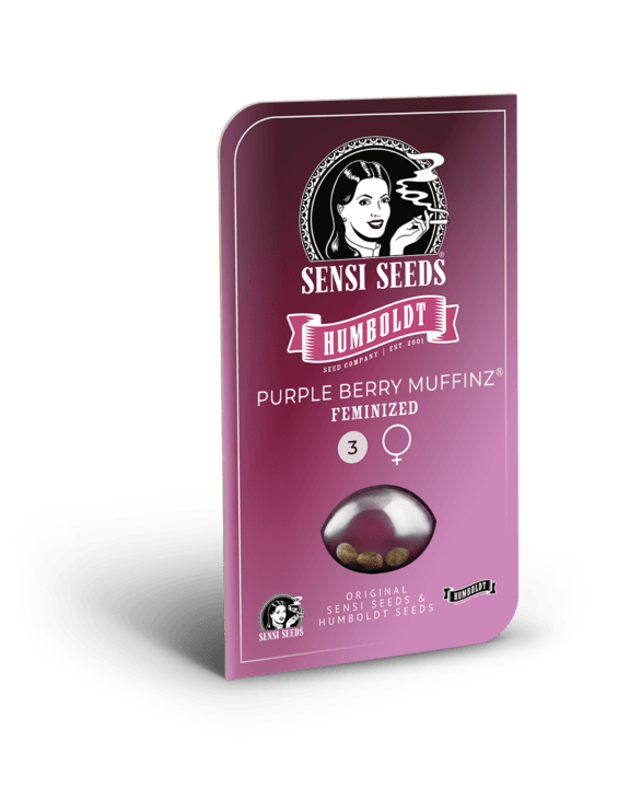 Purple Berry Muffinz Feminized Seeds - image 2 of 2