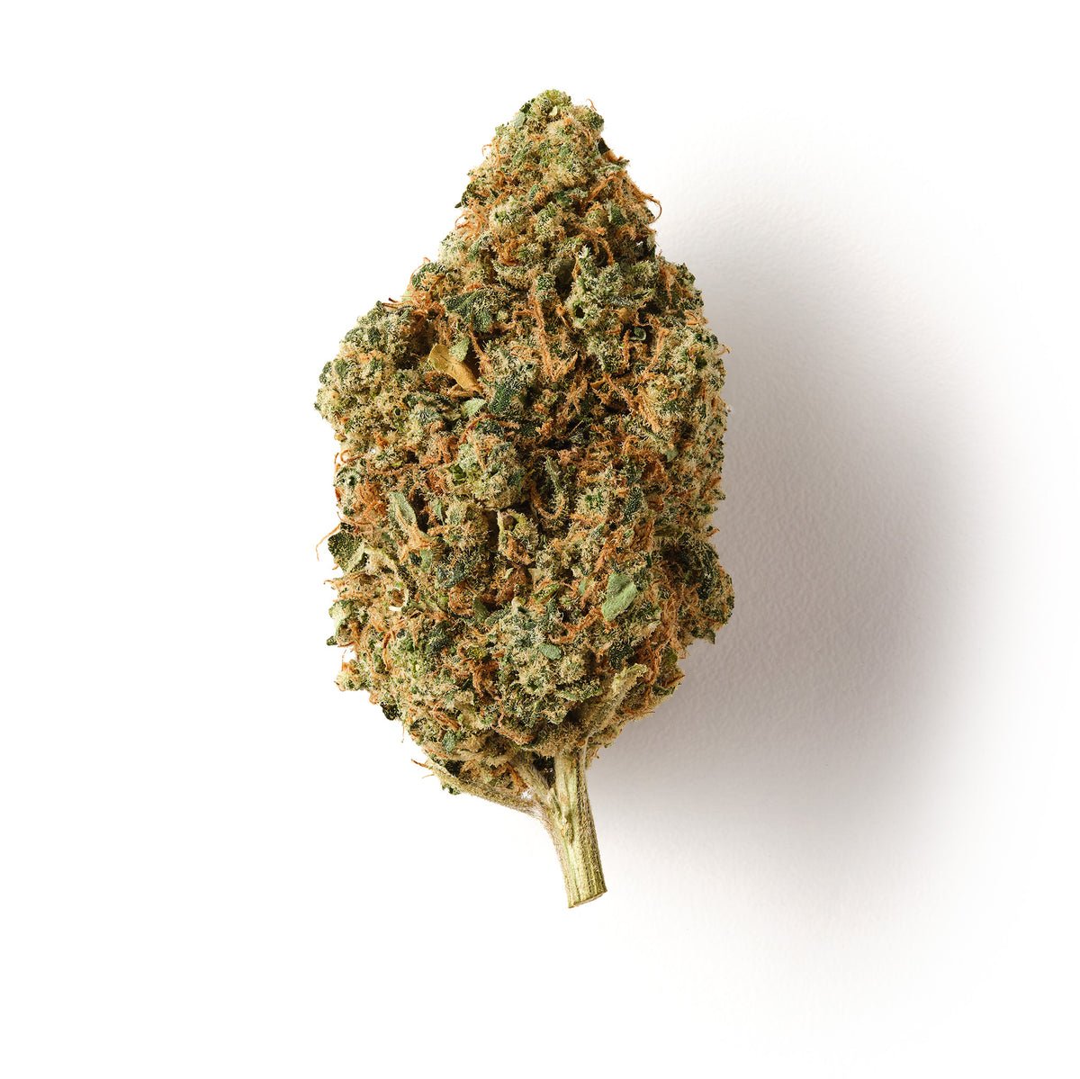 Solero Cream | CBD Flower | Exquisite Indoor | 15%