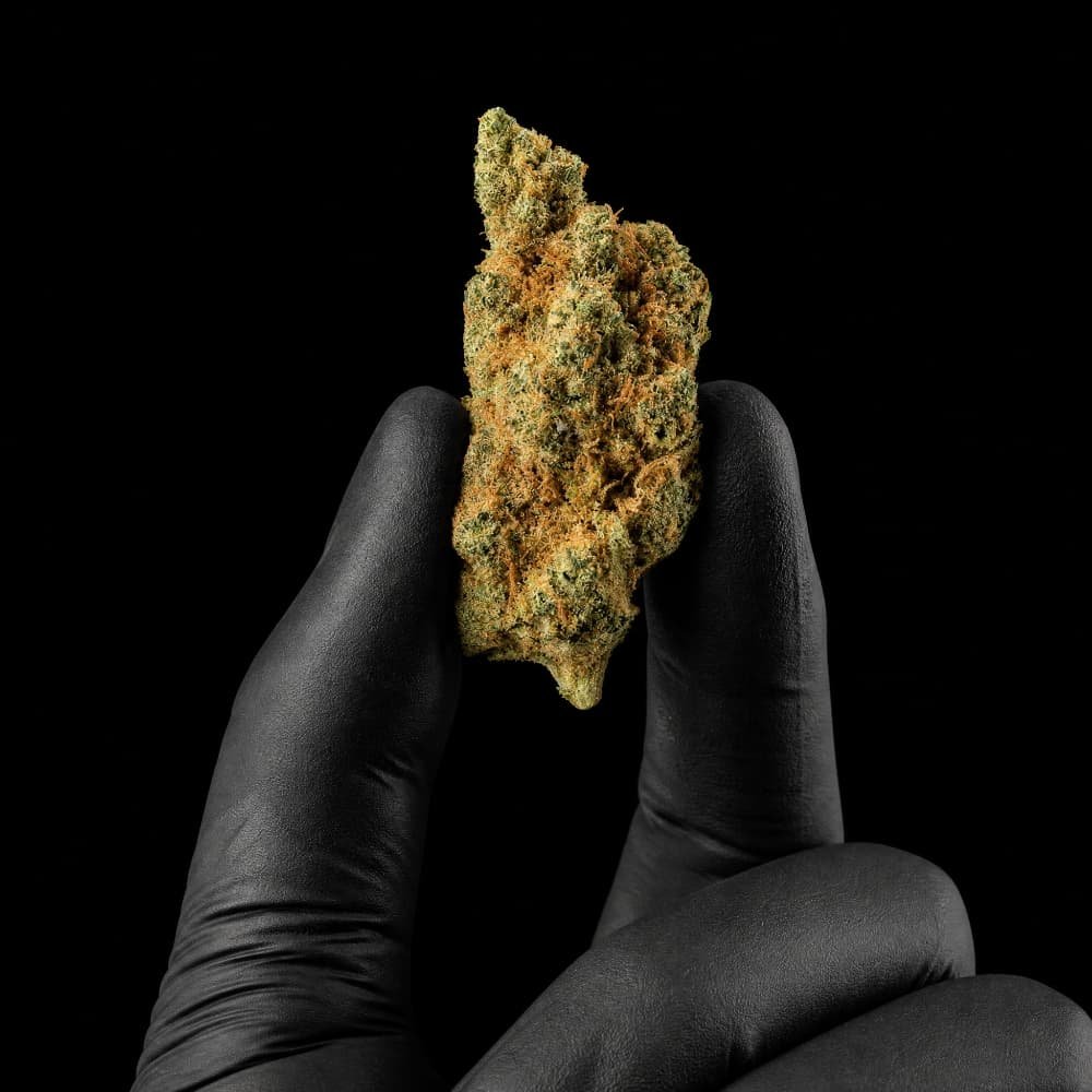 Gorilla Mandarin CBD Flower - image 3 of 3