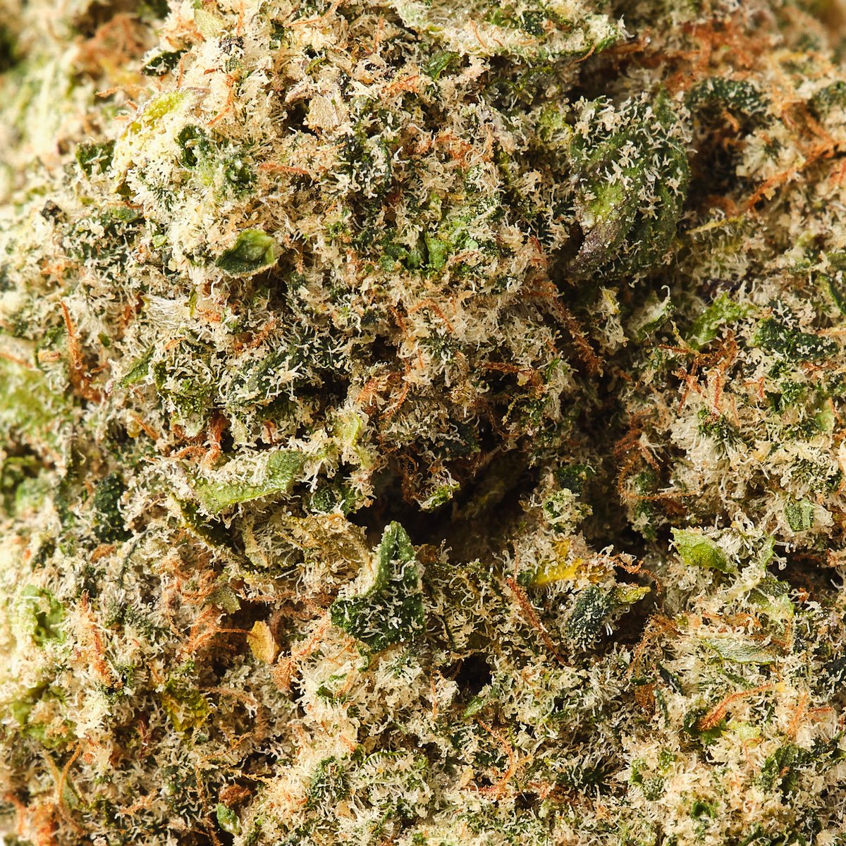 Legendary Skunk CBD Flower - image 2 of 3