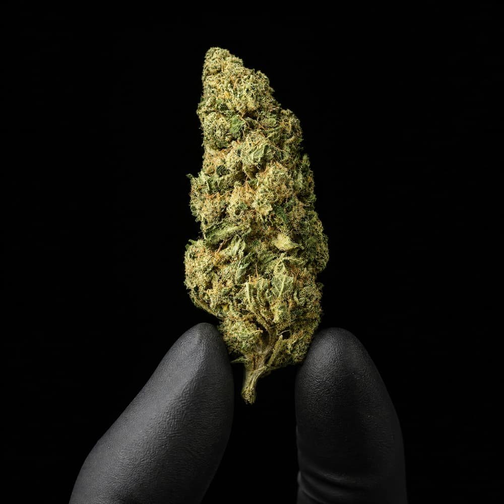 Chocolope CBD Flower - image 3 of 3