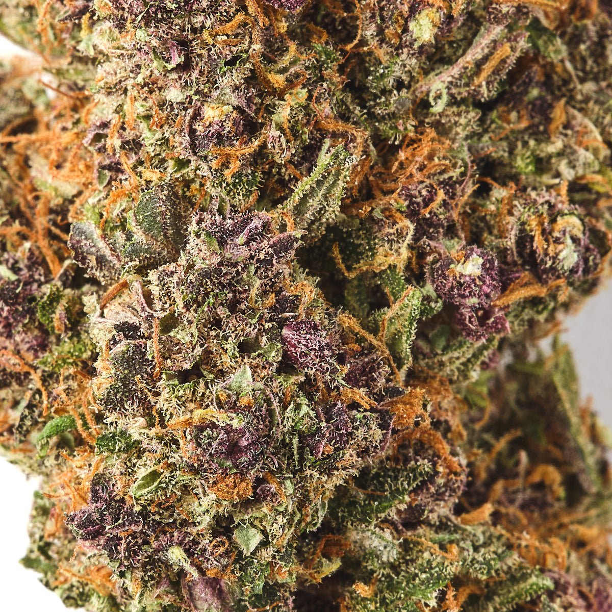 Chardonnay CBD Flower - image 2 of 3