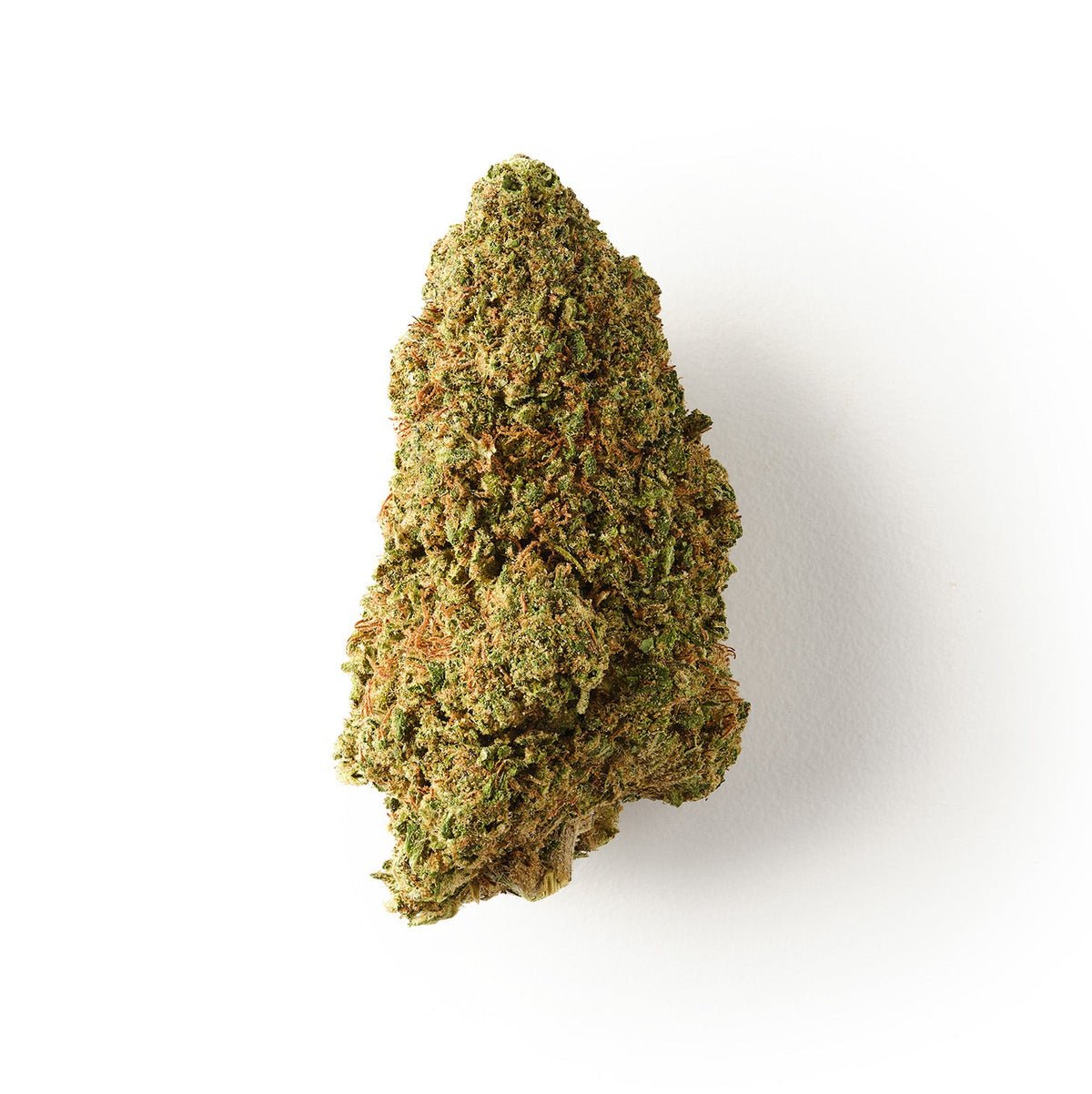 Silver Haze | CBD Flower | Glasshouse + Light Support | 17% CBD