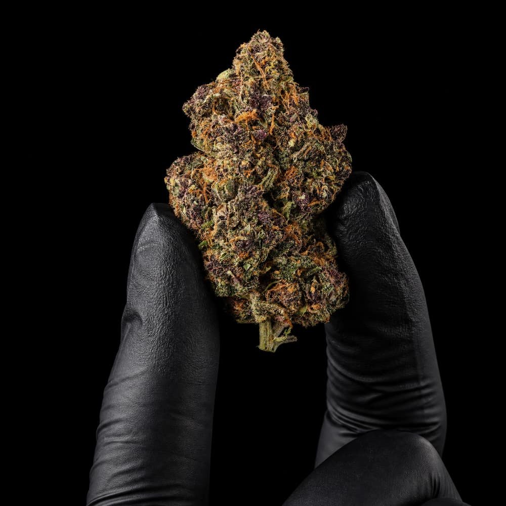 Chardonnay CBD Flower - image 3 of 3