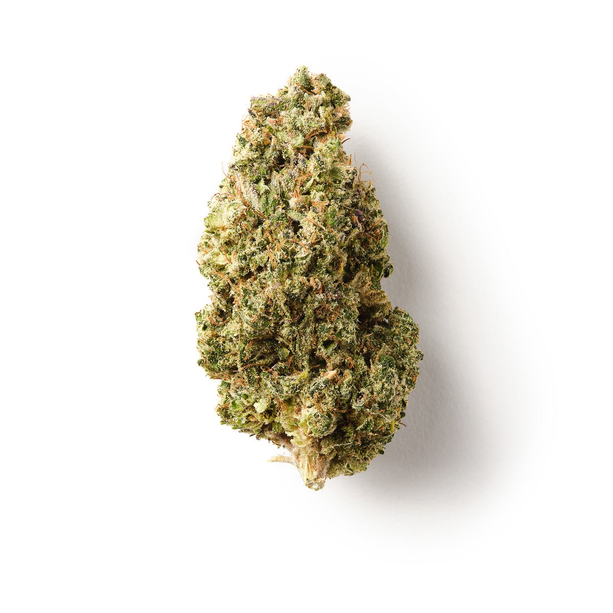 Lemon Kush Burst | CBD Flower | Exquisite Indoor | 16% CBD